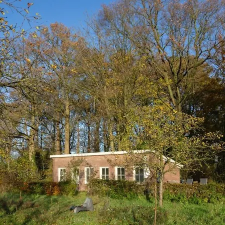 Natuurhuisje De Kleine Varenhorst Breedenbroek Exterior photo