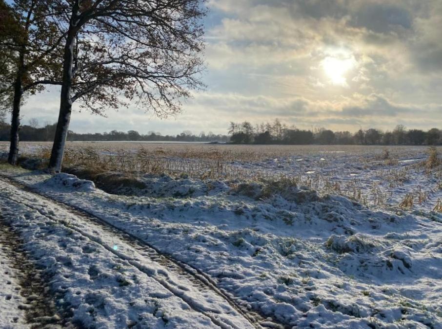 Natuurhuisje De Kleine Varenhorst